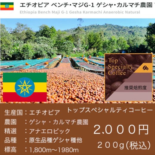 エチオピア　ベンチ・マジ　ゲシャ・カルマチ農園　ゲイシャ（２００g）