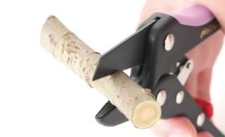 大津式お掃除ブラシJ（3本セット） - 山忠日和