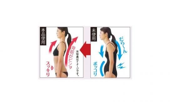 美姿勢サポーター - 山忠日和