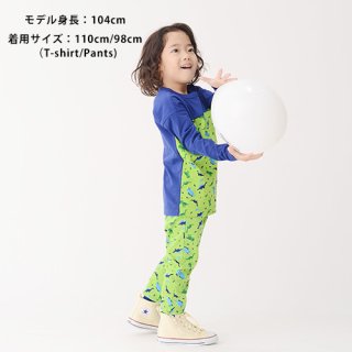 <img class='new_mark_img1' src='https://img.shop-pro.jp/img/new/icons7.gif' style='border:none;display:inline;margin:0px;padding:0px;width:auto;' />Dinosaur pants baby
