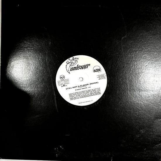 big punisher / still not a player  未開封 big punisher / still not a player 未開封 default.jpg