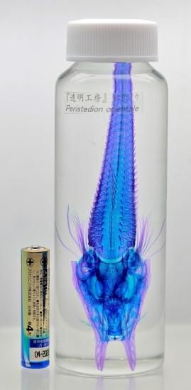中国 魚のような形の瓶　u6230908 中国 魚のような形の瓶 u6230908