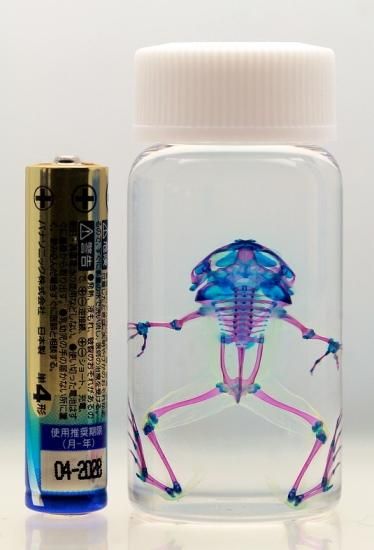 ウェイクシールオブガイア　透明先生　法具 ウェイクシールオブガイア 透明先生 法具