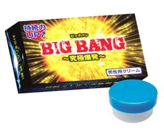 <img class='new_mark_img1' src='https://img.shop-pro.jp/img/new/icons42.gif' style='border:none;display:inline;margin:0px;padding:0px;width:auto;' />BIG BANG ȯ