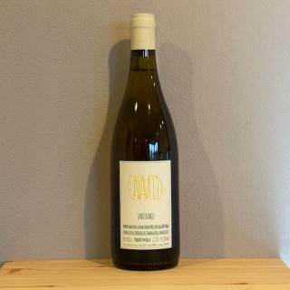 <img class='new_mark_img1' src='https://img.shop-pro.jp/img/new/icons1.gif' style='border:none;display:inline;margin:0px;padding:0px;width:auto;' />[2023]ǥʡ