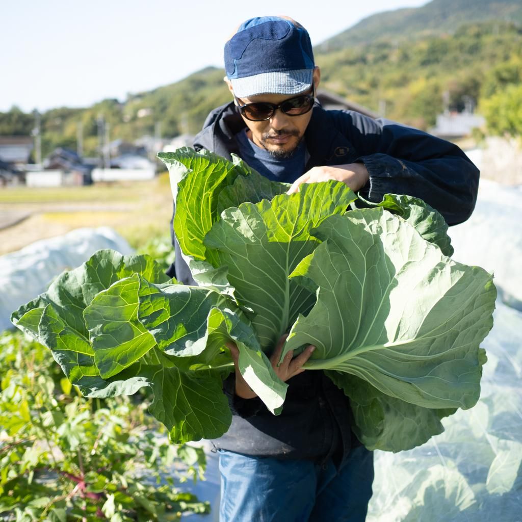 橙 ‐だいだい‐ 】ツクヨミお任せ野菜セット（農薬不使用・自然農