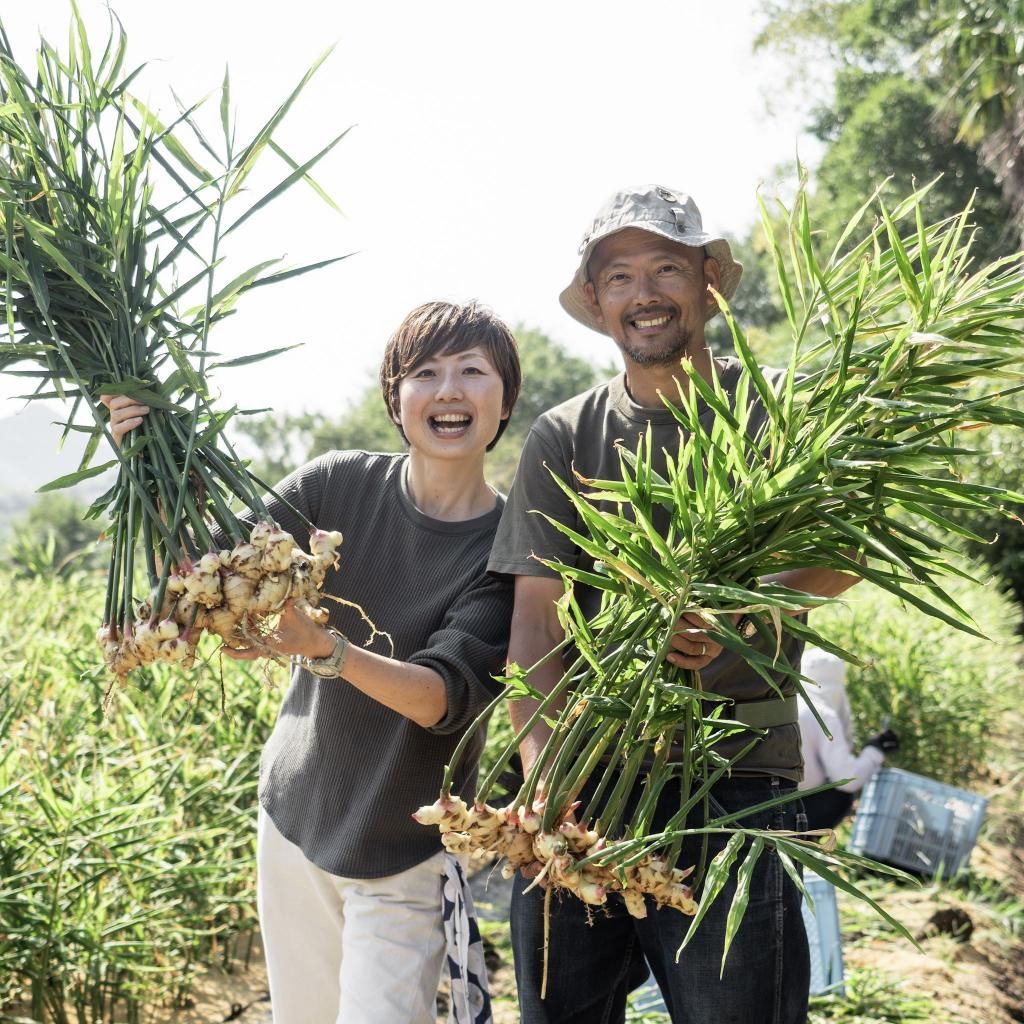 シロップ3本ギフトセット - HOMEMAKERS ONLINE STORE