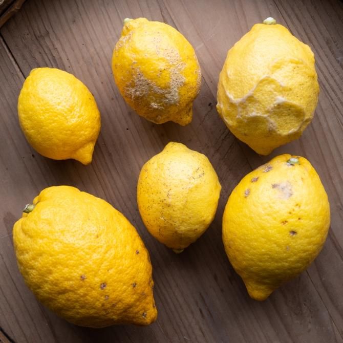 訳あり レモン 1kg 約10個 Homemakers Online Store 訳あり レモン 1kg 約10個 Homemakers Online Store