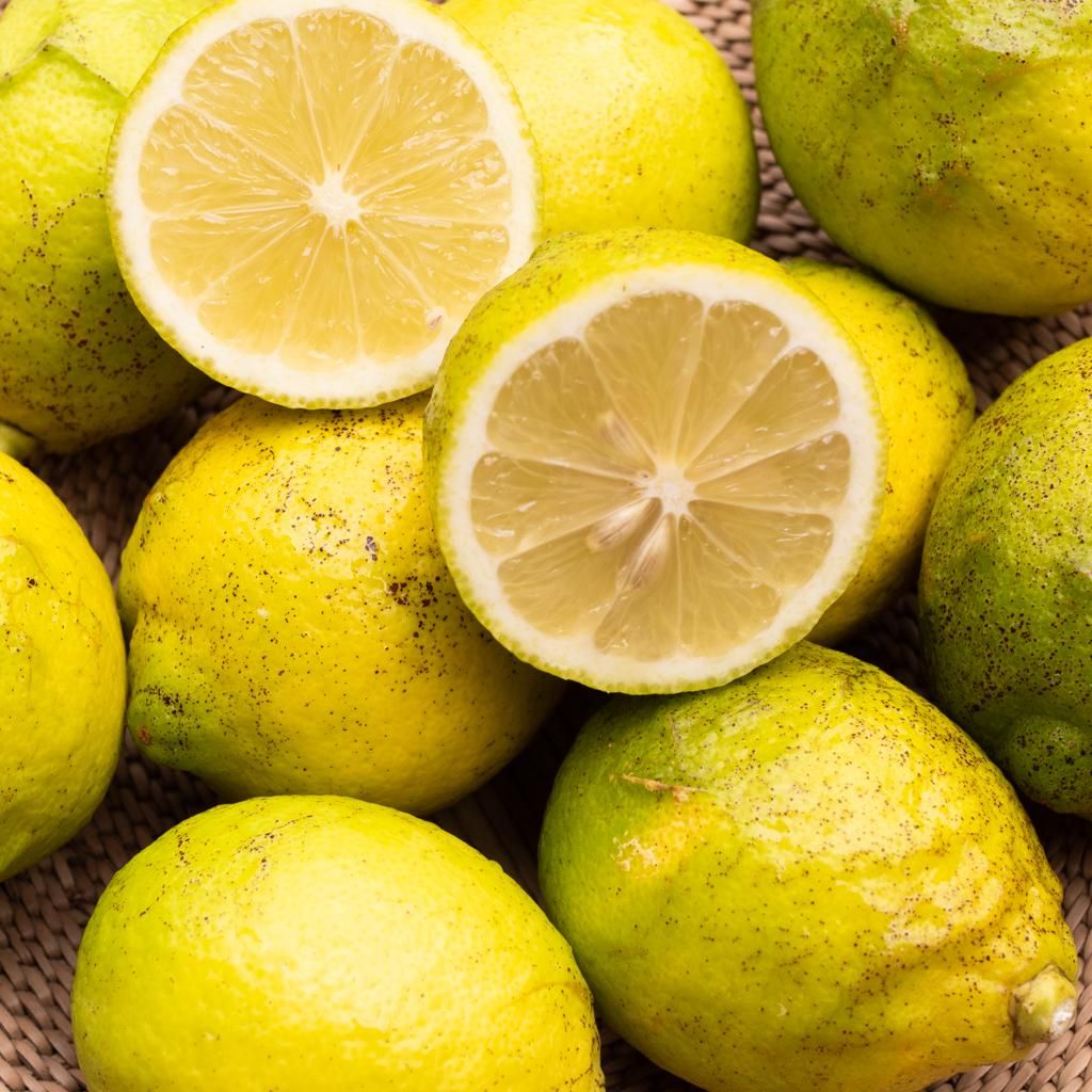 訳あり レモン 1kg 約10個 Homemakers Online Store 訳あり レモン 1kg 約10個 Homemakers Online Store