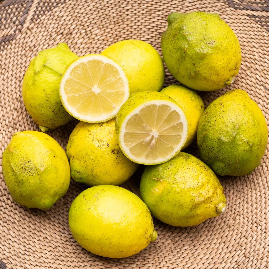 訳あり レモン 1kg 約10個 Homemakers Online Store 訳あり レモン 1kg 約10個 Homemakers Online Store