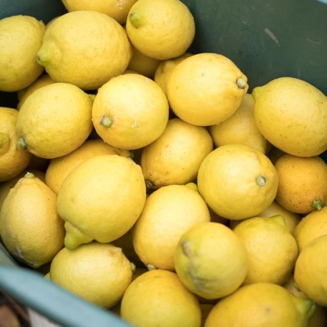 訳あり レモン 1kg 約10個 Homemakers Online Store 訳あり レモン 1kg 約10個 Homemakers Online Store