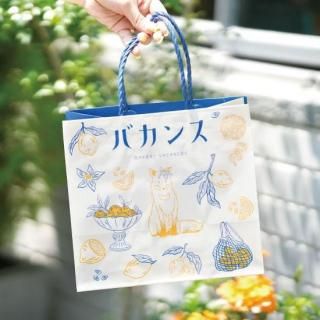 2025SUMMER  Х󥹥ꥸʥ륷åѡ