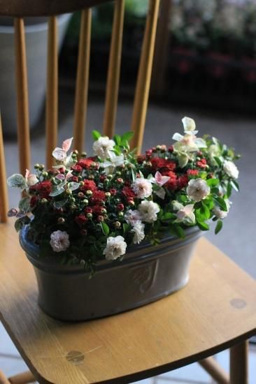 1点もの】ガーデンマム・ジジのブリコラージュフラワー - アトリエ