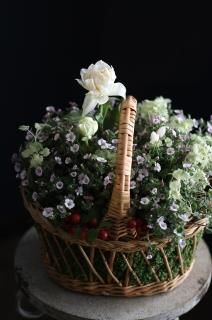ڲĥåȡۥ٥ӡƥȥ塼åץݥåץȥڥåȥߥΥ֥ꥳ顼ե