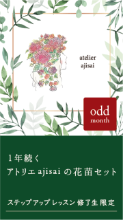 【ステップアップレッスン修了生限定】1年続くアトリエajisaiの花苗セット - odd month