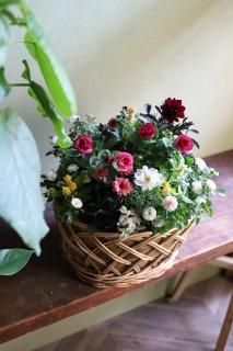 ڲĥåȡ۽֤κäդե󥸥ȤǤĥå