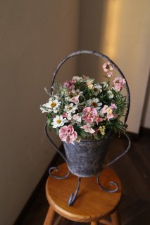【花苗セット】ジニアとペチュニアのホワイト＆ほんのりピンクなひとはちが作れる花苗セット