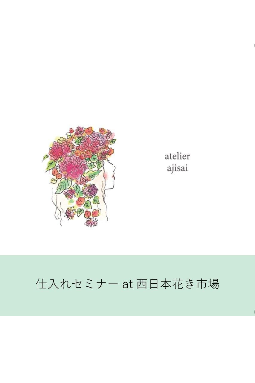 츦 at ֤ܲԾ