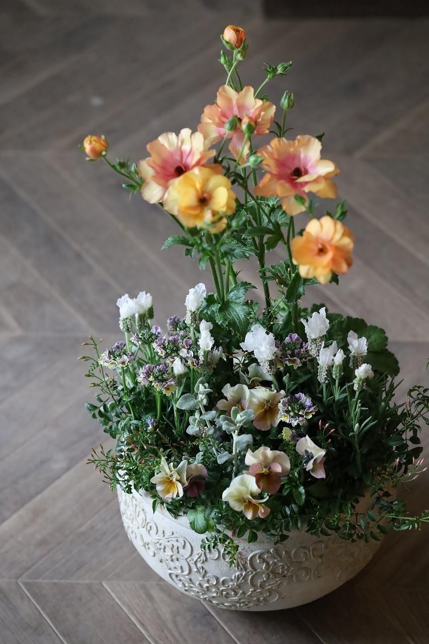 2025ǯ227ڡˡۥ饤å demonstration bricolage flower