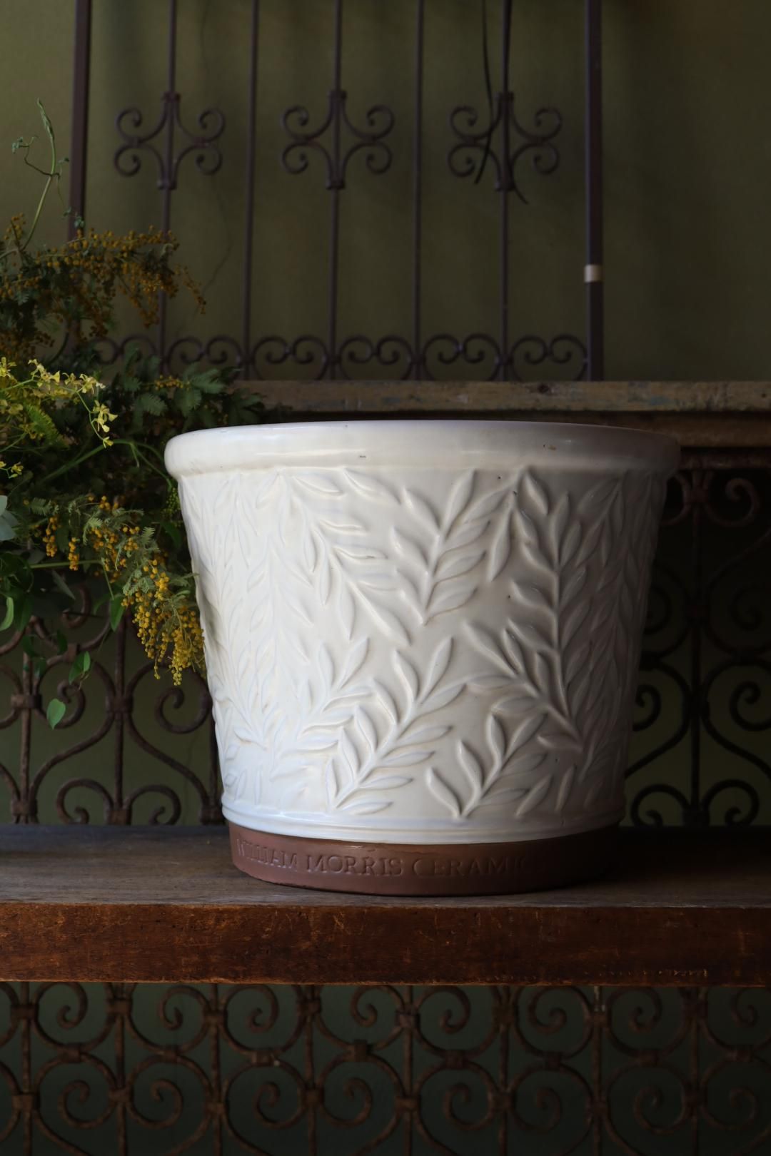 ѥʥݥå ۥ磻40  - William Morris