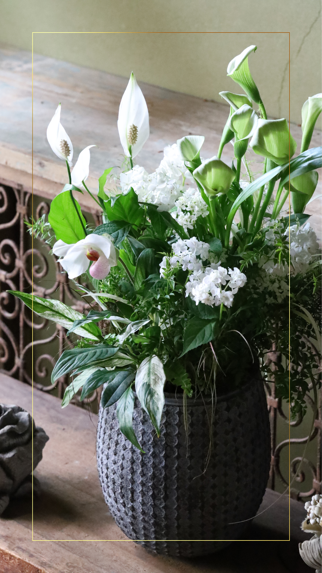 <img class='new_mark_img1' src='https://img.shop-pro.jp/img/new/icons14.gif' style='border:none;display:inline;margin:0px;padding:0px;width:auto;' />ڲĥåȡۥۥ磻ȡߥ꡼ʤҤȤϤĥå