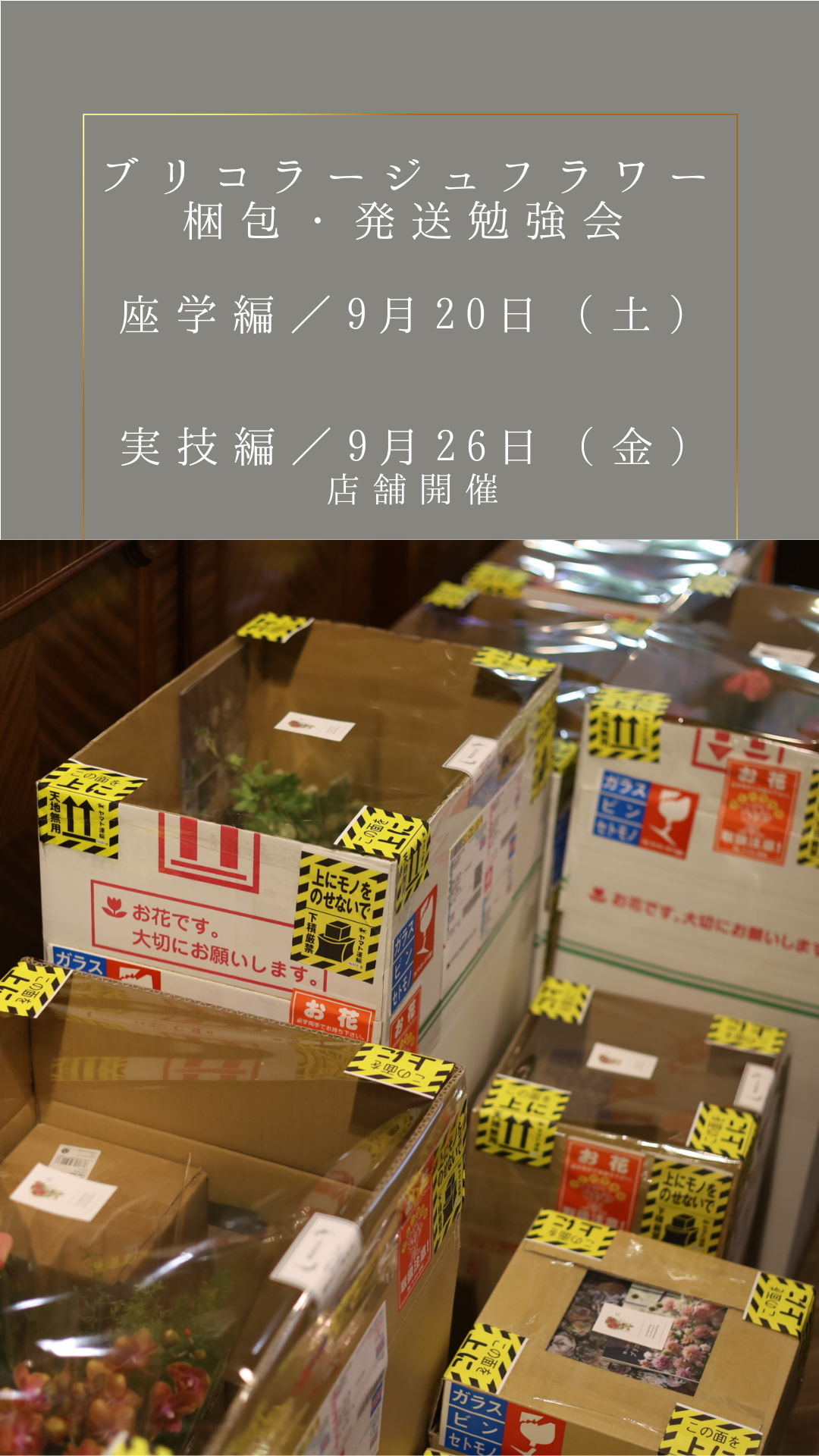 9ٶۥ֥ꥳ顼եκȯٶ