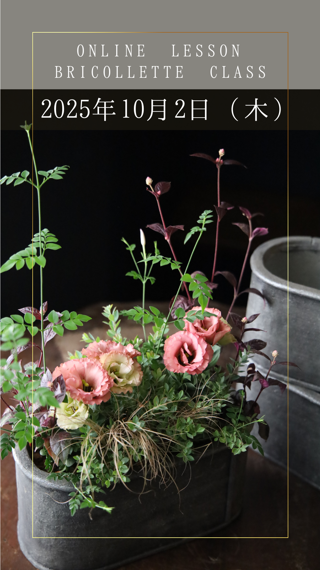 ڥ饤åBricollette Classۥȥ륳祦֥饷ڤཀྵΤҤȤϤ - 2025ǯ102ڡ˳šȲֺդ