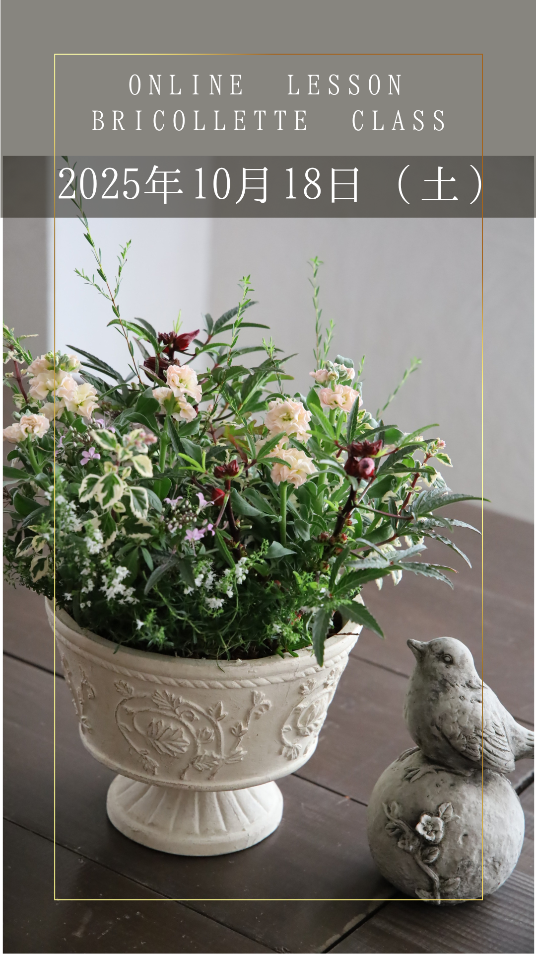 ڥ饤åBricollette Classۥȥå٥ӡȬťץꥳåȤȥϥӥڤҤȤϤ - 2025ǯ1018ڡ˳šȲֺդ