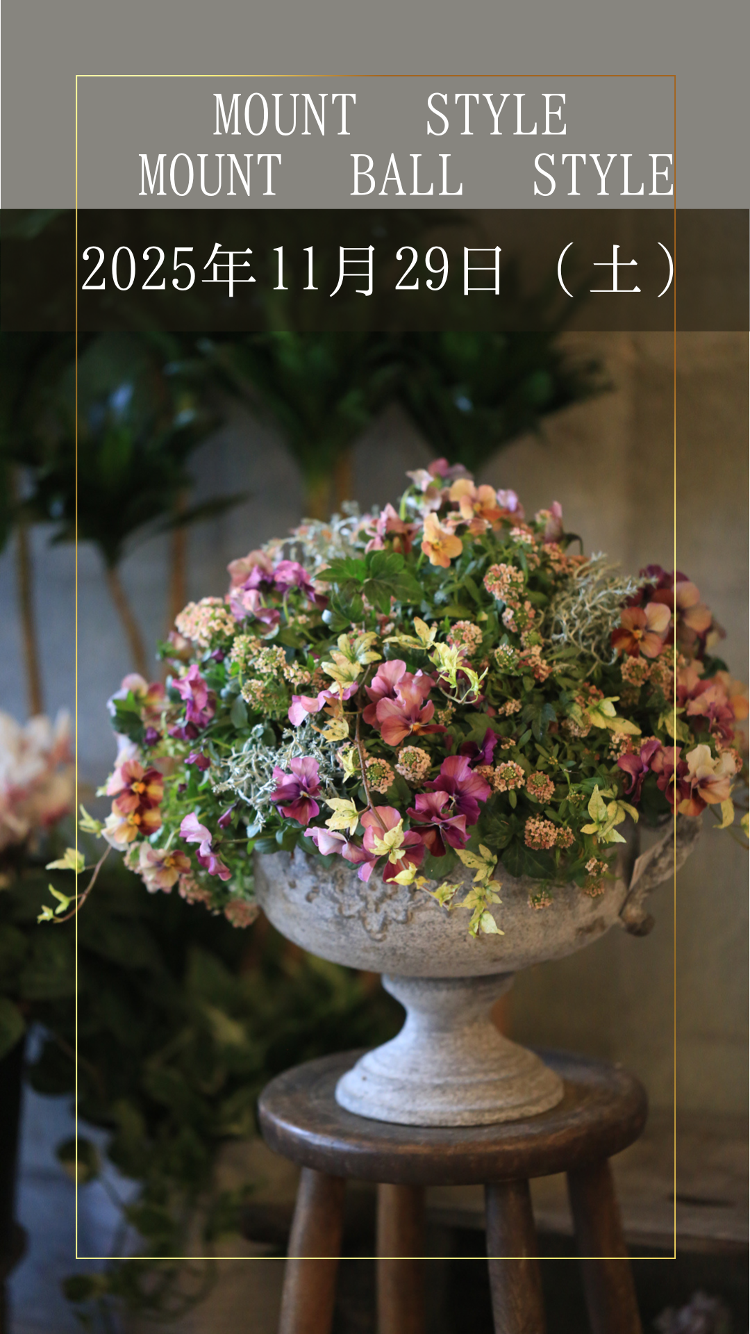 <img class='new_mark_img1' src='https://img.shop-pro.jp/img/new/icons14.gif' style='border:none;display:inline;margin:0px;padding:0px;width:auto;' />11γڤ1129()šӥΥޥȥorޥȥܡڤ