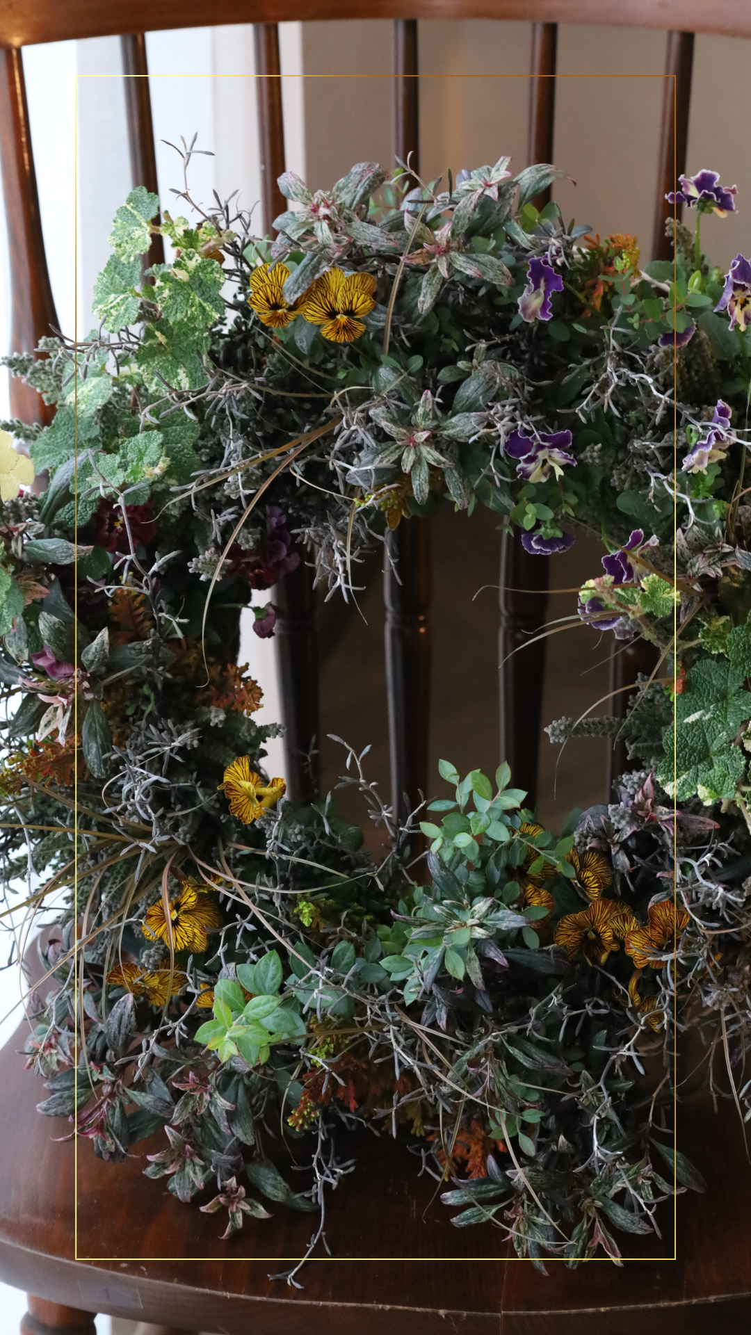 ڲĥåȡۥӥ顦鸫󥿡꡼ĥå