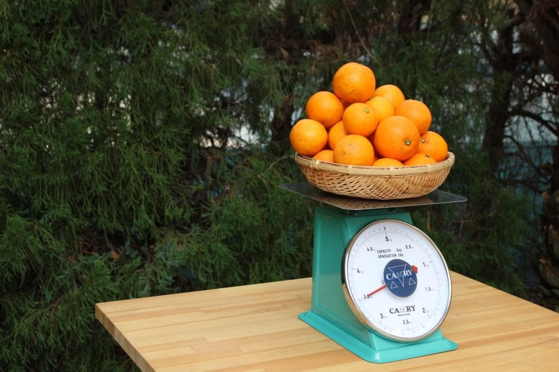 ペネロペ様紅ぷりせとかネーブル3kg×2箱ぐるりん