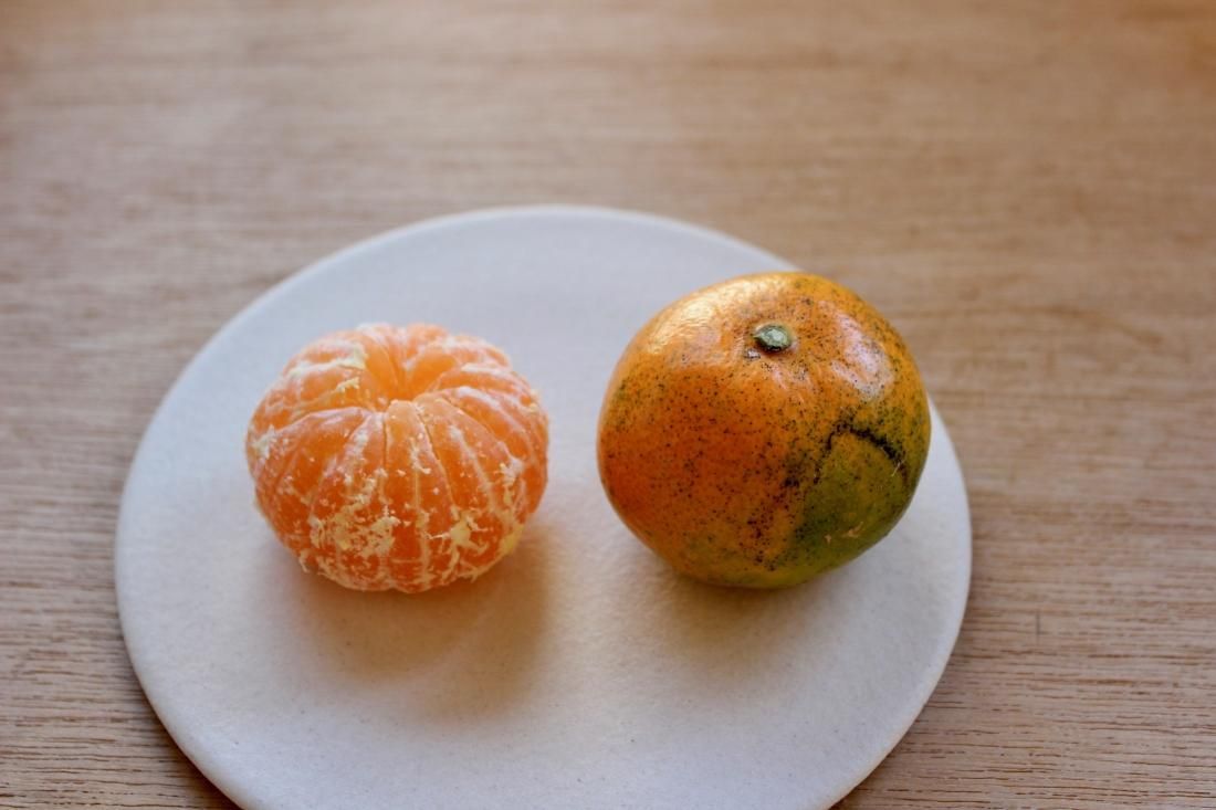 早生みかん 1.5kg | 生口島産 無農薬 - タチバナストア