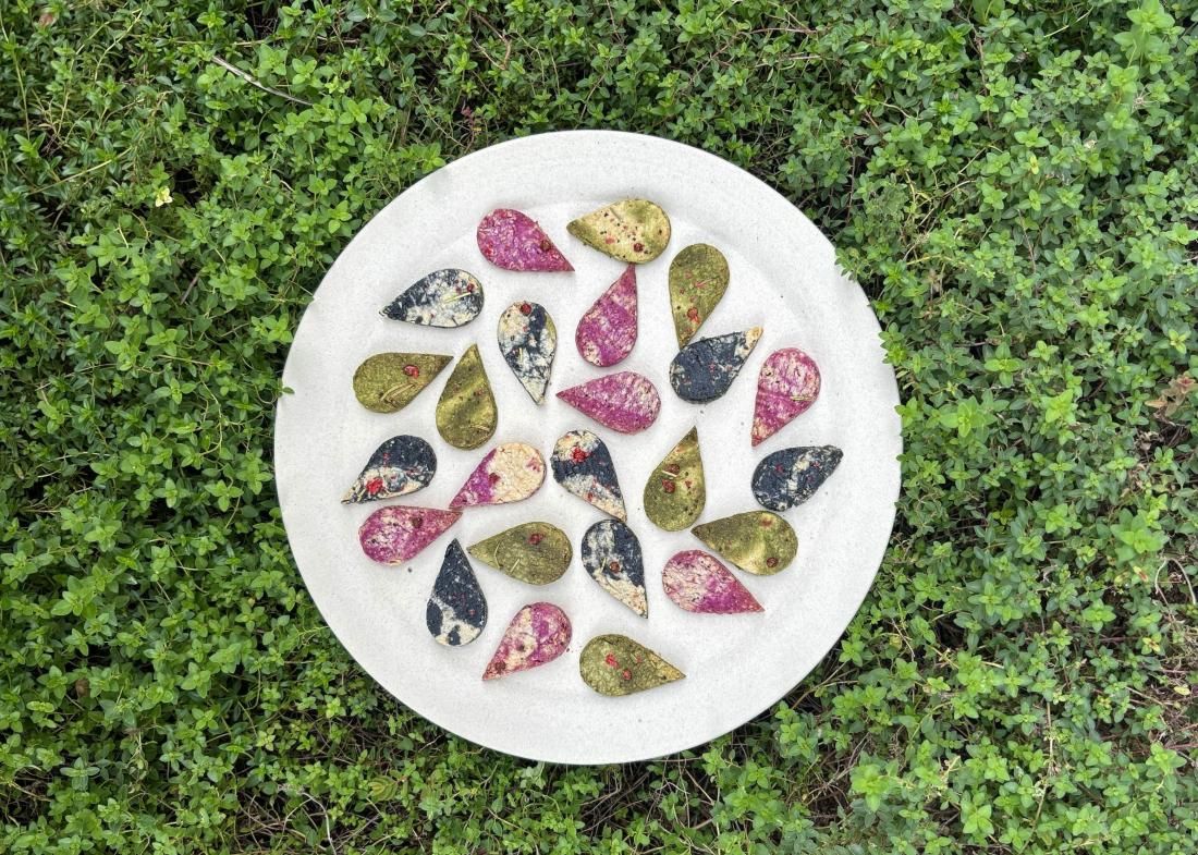 不思議な葉っぱ - タチバナストア tachibana store