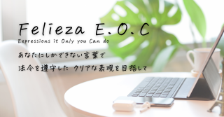 ͭץ6Felieza E.O.C 6ˡܷɽˡʥƥ޵ϰϡˡƥȡܥåȥġܳƼ磻٥ȥåȥץ