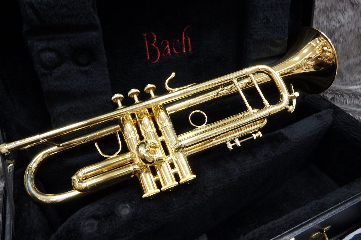 Bach trumpet case「バックトランペットダブルケース」