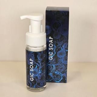 GIC SOAP