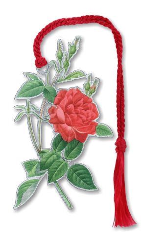 ルドゥーテの赤いバラ Bks9943 David Howell Company