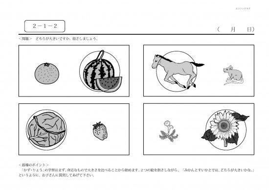 すくすくどんどん図形の力UP↑ドリル プリント版 : 幼児・小学生