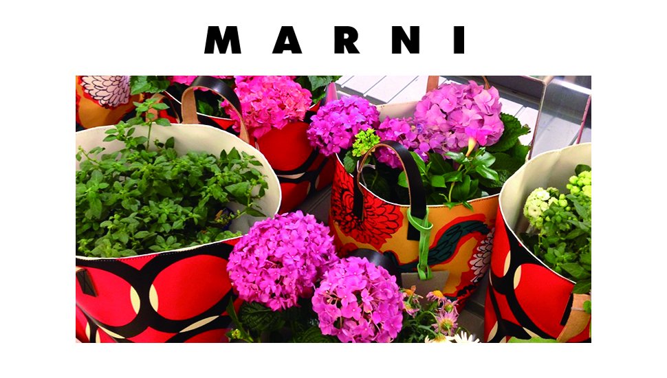 MARNI _ STANCE ONLINESHOP