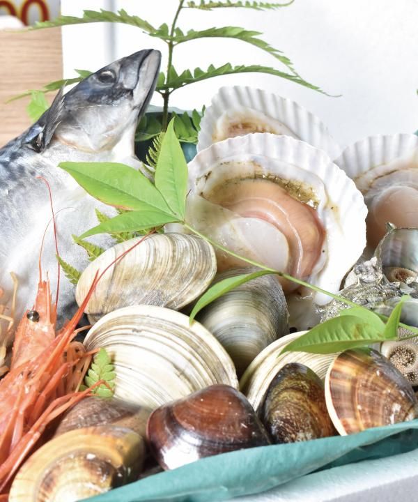 海鮮バーベキュー q セット こんなに入って魚問屋のならでは 鮮魚 蛤 通販 奥山安蔵商店オンラインショップ