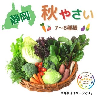 【静岡】秋野菜セット