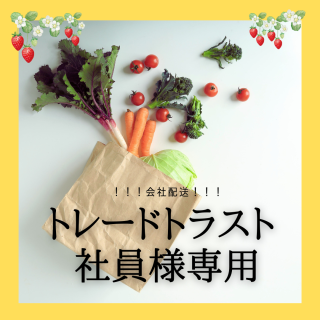 （トレードトラスト様専用）静岡県産の新鮮な旬なお野菜を、木曜日にお届けします！　野菜セット
