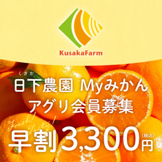 [100̾!!]Myߤ2025ǯ٥罸ۡʰʬ3,000