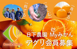 Myߤ2025ǯ٥罸ۡʰʬ5,000ߡ2025ǯ831ޤǤ̲ʡ