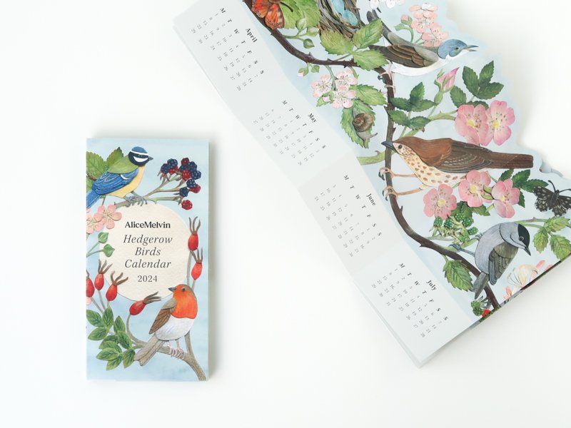 Hedgerow Birds Calendar 2024 by Alice Melvin