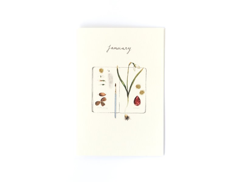 Birthstones and Flowers Card / January