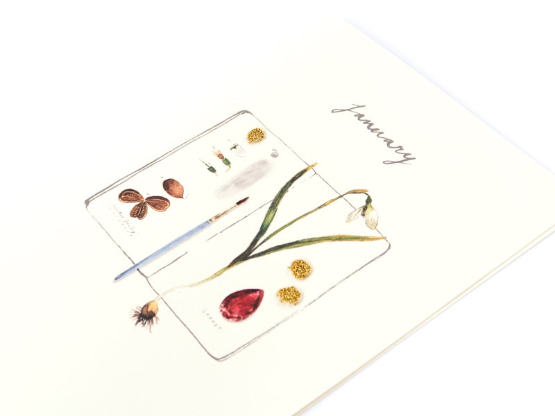 Birthstones and Flowers Card / January