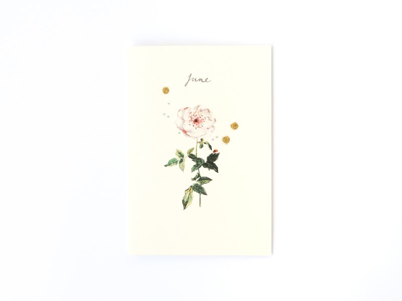 Birthstones and Flowers Card / June