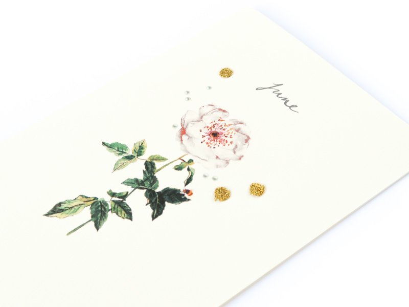 Birthstones and Flowers Card / June