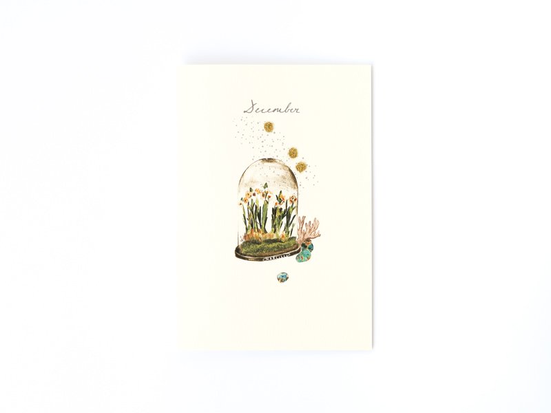 Birthstones and Flowers Card / December